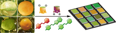 Graphical abstract: Optical discrimination of terpenes in citrus peels with a host:guest sensing array