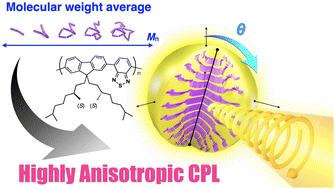 Graphical abstract: Near-unity angular anisotropy of circularly polarized luminescence from microspheres of monodispersed chiral conjugated polymers