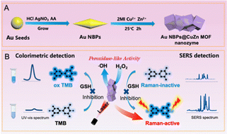 Graphical abstract: An Au bipyramids@CuZn MOF core–shell nanozyme enables universal SERS and a colorimetric dual-model bioassay