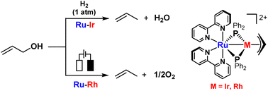 Graphical abstract: Bimetallic Ru–Ir/Rh complexes for catalytic allyl alcohol reduction to propylene