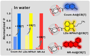 Graphical abstract: Cucurbit[7]uril as the host of adamantane-modified dyes for fluorescence enhancement in aqueous environments