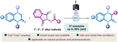 Graphical abstract: Direct C–H alkylation of 3,4-dihydroquinoxaline-2-ones with N-(acyloxy)phthalimides via radical–radical cross coupling