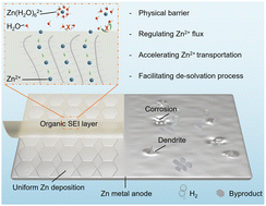 Graphical abstract: Organic solid–electrolyte interface layers for Zn metal anodes