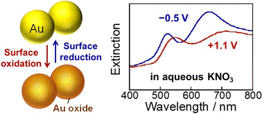 Graphical abstract: Active control of plasmon coupling via simple electrochemical surface oxidation/reduction of Au nanoparticle agglomerates