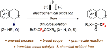 Graphical abstract: One-pot C(sp3)–H difluoroalkylation of tetrahydroisoquinolines and isochromans via electrochemical oxidation and organozinc alkylation
