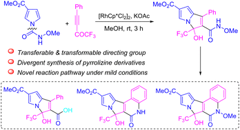 Graphical abstract: Divergent synthesis of pyrrolizine derivatives through C–H bond functionalization of pyrroles