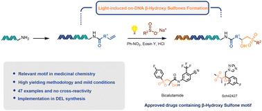 Graphical abstract: Light-induced β-hydroxy sulfone synthesis in DNA-encoded libraries