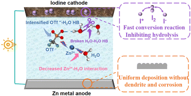 Graphical abstract: Triflate anion chemistry for enhanced four-electron zinc–iodine aqueous batteries