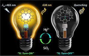 Graphical abstract: Carbazole-embedded p-benziporphyrinoid: synthesis, structure and a reversible chemodosimeter for mercury(ii) ions