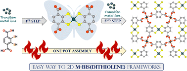 Graphical abstract: 2D metal–organic frameworks bearing butterfly-shaped metal-bis(dithiolene) linkers from dithiol-functionalized benzenedicarboxylic acid