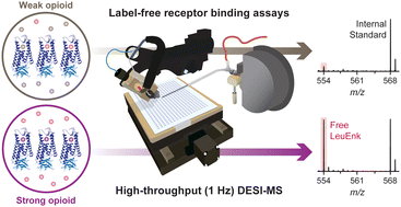 Graphical abstract: High-throughput label-free opioid receptor binding assays using an automated desorption electrospray ionization mass spectrometry platform