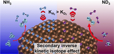 Graphical abstract: Inverse kinetic isotope effect of ammonia decomposition over Ru/CeO2 using deuterated ammonia