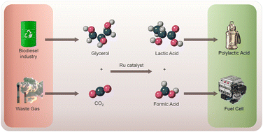 Graphical abstract: Efficient co-upcycling of glycerol and CO2 into valuable products enabled by a bifunctional Ru-complex catalyst