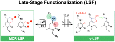 Graphical abstract: Late-stage functionalization of the 4-amino-2-pyridone chemotype using electrochemical and MCR approaches