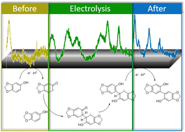 Graphical abstract: Solvent-dependent reaction mechanisms in the electrooxidative coupling of phenols: insights by operando Raman spectroelectrochemistry