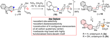 Graphical abstract: Total synthesis of (+)-oridamycins A and B