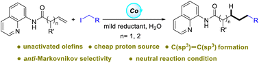 Graphical abstract: Radical alkylation and protonation induced anti-Markovnikov hydroalkylation of unactivated olefins via cobalt catalysis