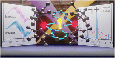 Graphical abstract: Implementation of 2,2′-azobispyridine radical mono- and dianions in dinuclear rare earth metal complexes