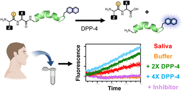 Graphical abstract: Thioamide-based fluorescent sensors for dipeptidyl peptidase 4