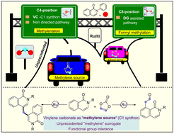 Graphical abstract: Engaging vinylene carbonate in ruthenium-catalyzed regioselective C-4 methylenation and C-8 formylmethylation of isoquinolinones