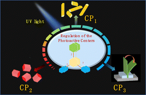 Graphical abstract: Photomechanical responses of coordination polymers regulated by precise organization of the photoactive centers