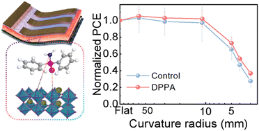 Graphical abstract: A multifunctional phenylphosphinamide additive for stable flexible inverted perovskite solar cells