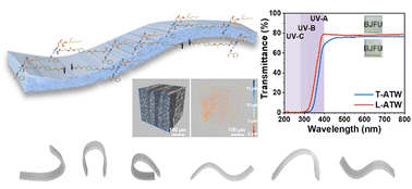 Graphical abstract: Flexible, shape-editable wood-based functional materials with acetal linkages