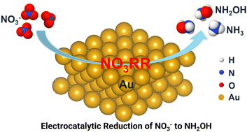 Graphical abstract: Electrochemical reduction of nitrate to hydroxylamine on gold electrode