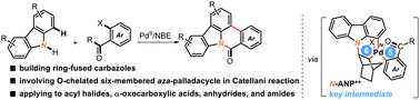 Graphical abstract: Palladium/norbornene-catalyzed C–H/N–H cycloaddition of carbazoles with 2-halobenzoic acid derivatives