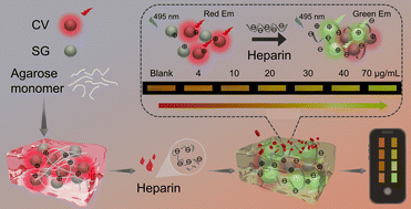 Graphical abstract: A label-free fluorescent-hydrogel sensor for heparin detection in diluted whole blood