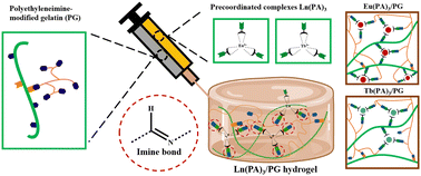 Graphical abstract: Fabrication of gelatin hydrogels using pre-coordinated lanthanide complexes via imine crosslinking