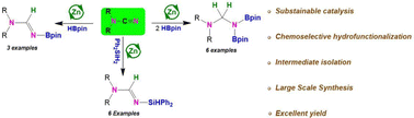 Graphical abstract: Zinc catalyzed chemoselective hydrofunctionalization of cyanamides