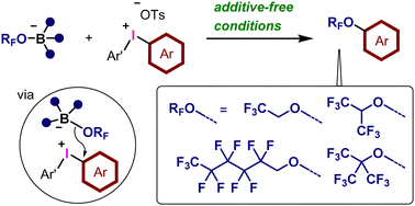 Graphical abstract: Borate-mediated aryl polyfluoroalkoxylation under transition-metal-free conditions