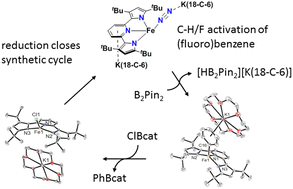 Graphical abstract: Csp2–H/F bond activation and borylation with iron