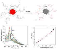 Graphical abstract: A hydrogen peroxide activated near-infrared ratiometric fluorescent probe for ratio imaging in vivo
