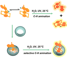 Graphical abstract: A simple method to modulate the selectivity of aryl azide photolysis using cucurbit[8]uril