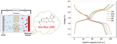 Graphical abstract: A Nile red dye cathode with an asymmetric redox unit for lithium organic batteries