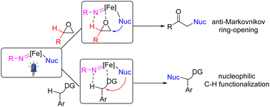 Graphical abstract: Ferric nitrene-promoted anti-Markovnikov ring-opening of epoxides and nucleophilic functionalization of benzylic C–H bonds under photo-irradiation
