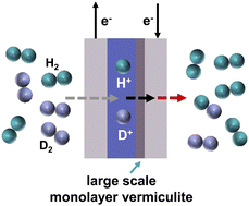Graphical abstract: Monolayer vermiculite membranes for efficient hydrogen isotope separation