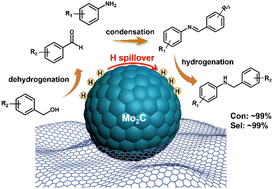 Graphical abstract: Mo2C catalyst leads to highly efficient hydrogen transfer of alcohols and amines to synthesize N-alkylamines