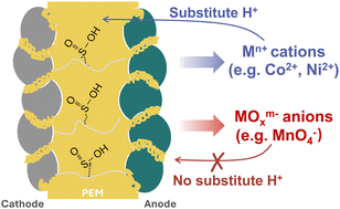 Graphical abstract: Effects of dissolved 3d-block metal ions on PEM water electrolysis performance