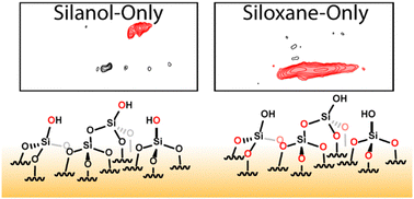 Graphical abstract: Selective 17O-labeling of silica