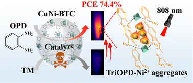 Graphical abstract: Ni2+ mediated oxidation and aggregation of o-phenylenediamine: an enhanced photothermal effect for direct, specific and background-free detection of thiophanate-methyl