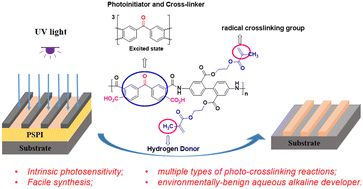 Graphical abstract: Intrinsically photosensitive polyimide photoresist and its double crosslinking mechanism