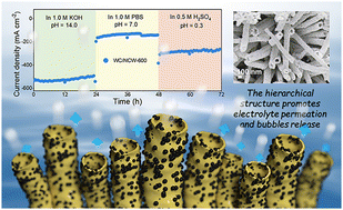 Graphical abstract: A hierarchical WC/NiCoW hollow nanotube array as a highly efficient electrocatalyst for hydrogen evolution