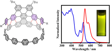 Graphical abstract: Direct π-extension of a conjugated carbon nanohoop using a zipper method