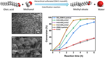 Graphical abstract: Sulfonated hierarchical ZSM-5 zeolite monoliths as solid acid catalyst for esterification of oleic acid
