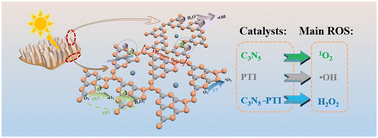 Graphical abstract: From one to two: in situ construction of C3N5-poly(triazine imide) heterojunction for enhanced O2 activation