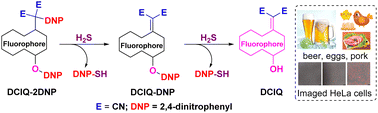 Graphical abstract: A unique near-infrared fluorescent probe based on dual-DNP binding sites for rapid monitoring of hydrogen sulfide in food samples and living cells