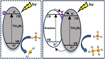 Graphical abstract: Anatase/TiO2(B) homojunction nanosheets with a gold cocatalyst for direct photocatalytic coupling of methane to ethane
